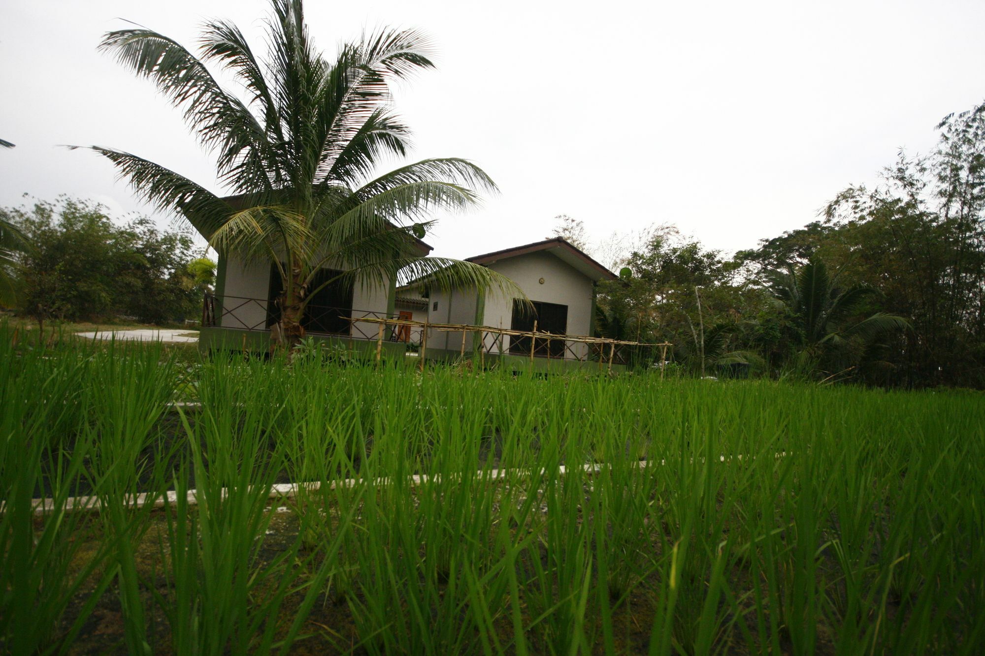 Long Lake Resort Chonburi Exterior foto